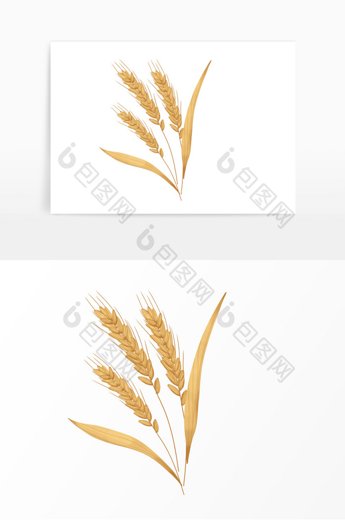 芒种丰收麦子麦穗