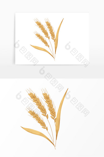 芒种丰收麦子麦穗图片