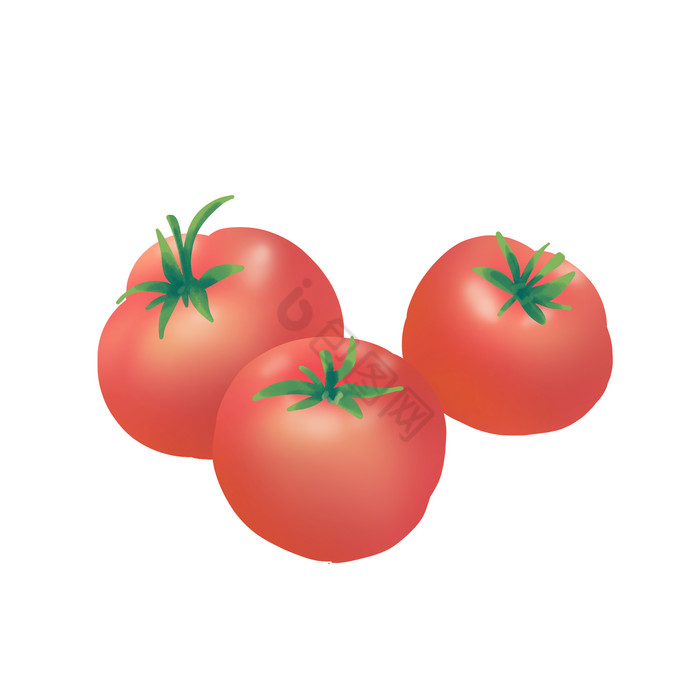 夏季夏至食物西红柿图片