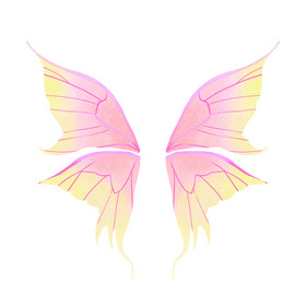 唯美粉色蝴蝶翅膀