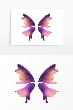 彩色蝴蝶翅膀图片