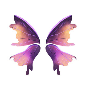 唯美彩色蝴蝶翅膀