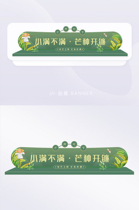 芒种节气胶囊banner