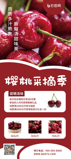 红色简约大气水果采摘樱桃易拉宝