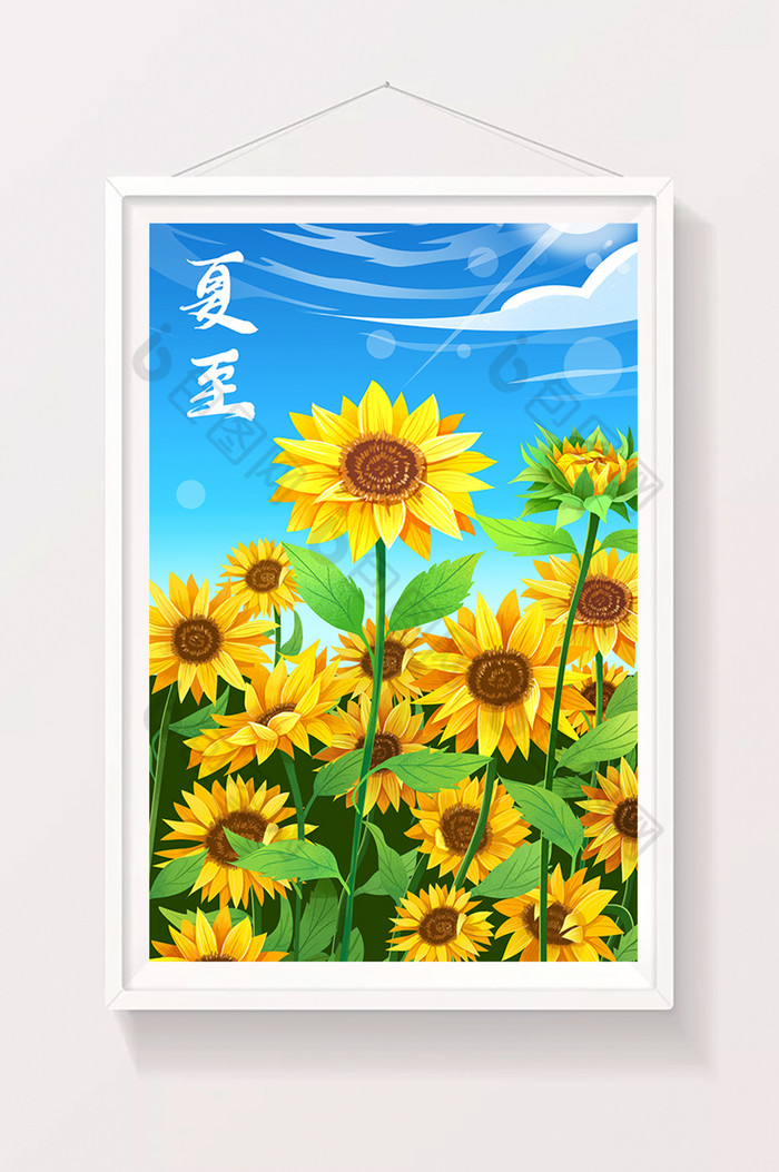 二十四节气夏至夏天向日葵插画图片图片