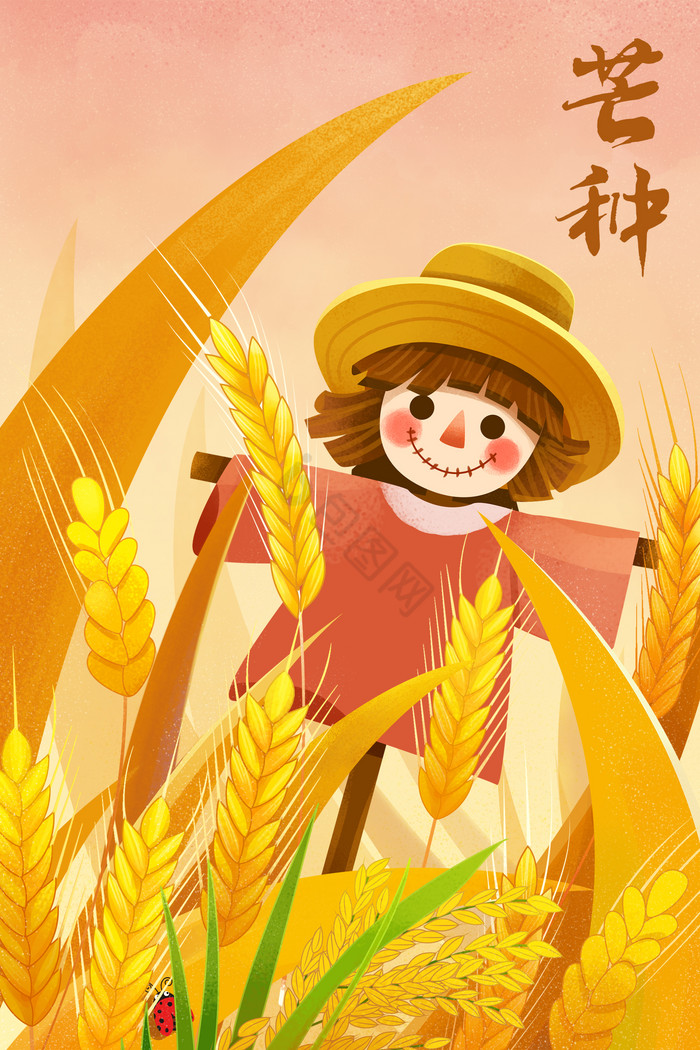 二十四节气芒种小麦稻草人插画图片