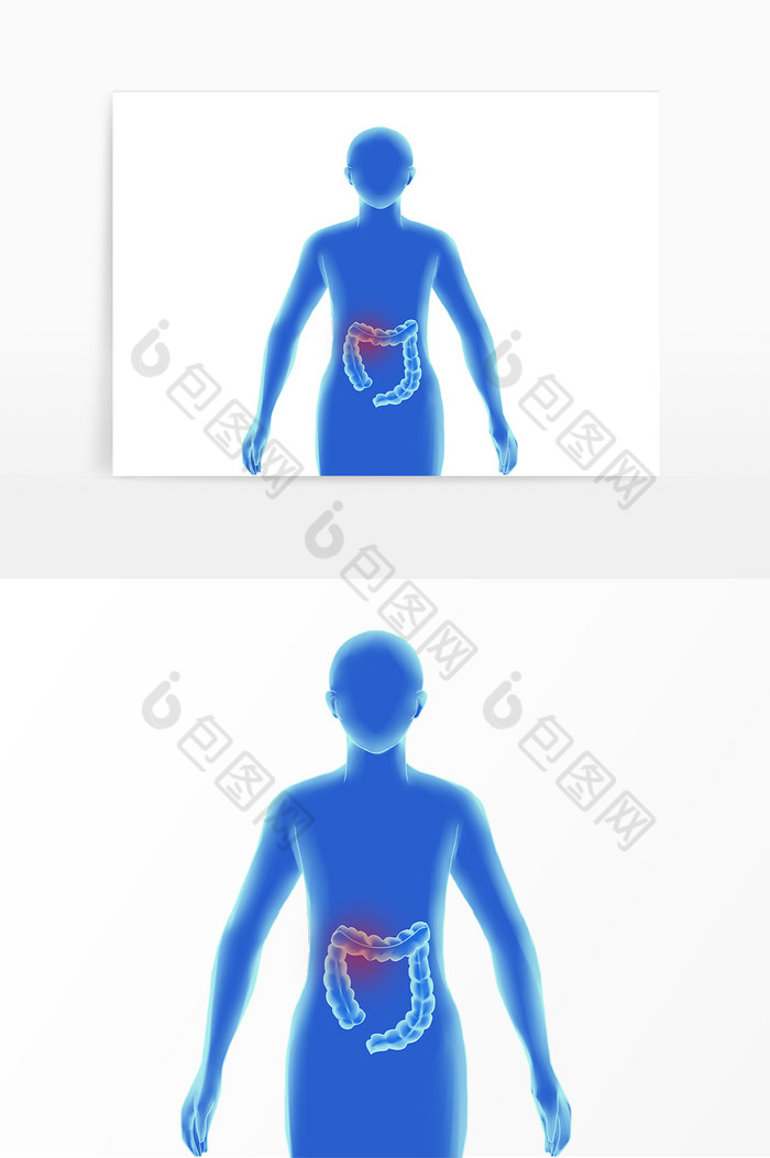 科技风人体内脏大肠图片图片