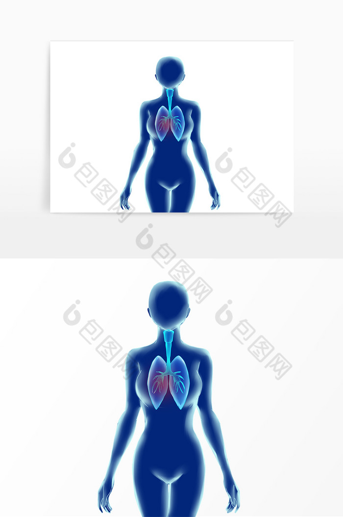 科技人体内脏肺部图片图片
