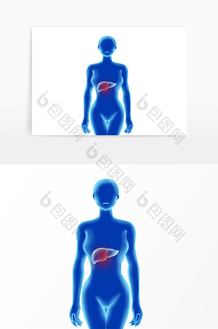科技人体内脏肝脏图片图片