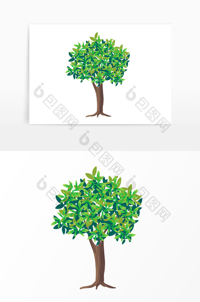 绿色植物树叶树木