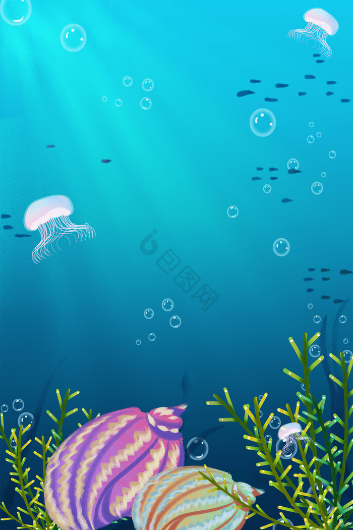 世界海洋日海螺图片