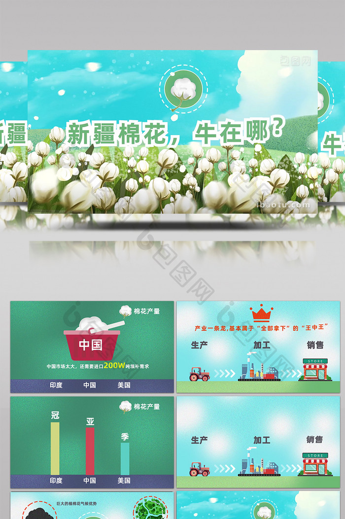 中国新疆棉花小科普mg动画模板