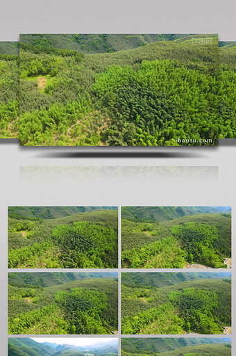 4K航拍重庆百里竹海竹林图片