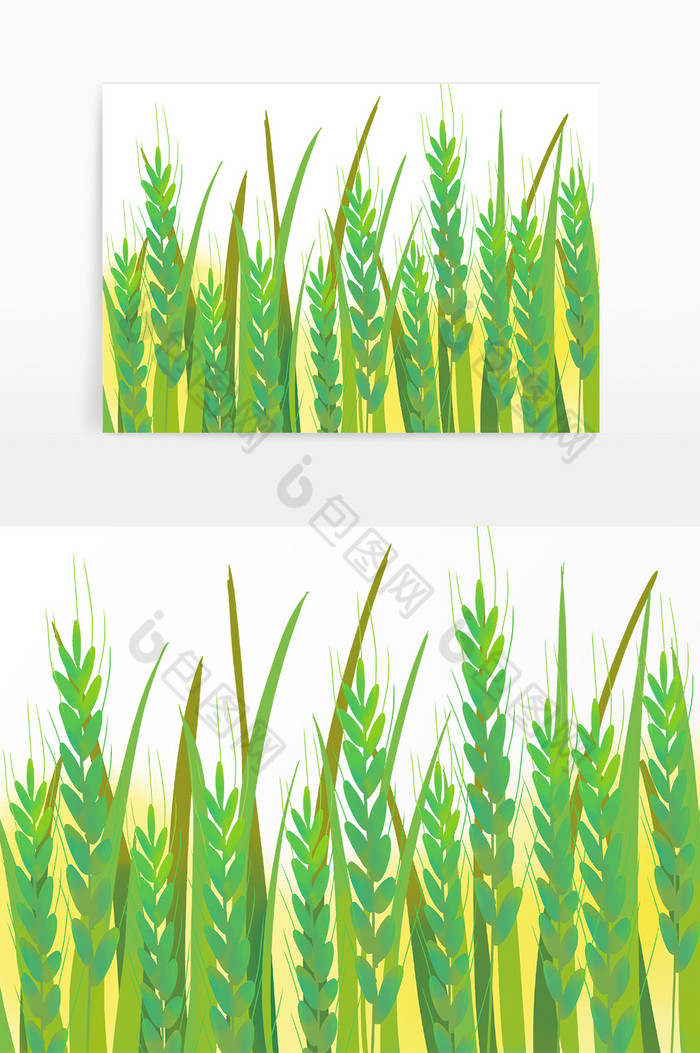 夏季芒种丰收小麦麦穗图片图片