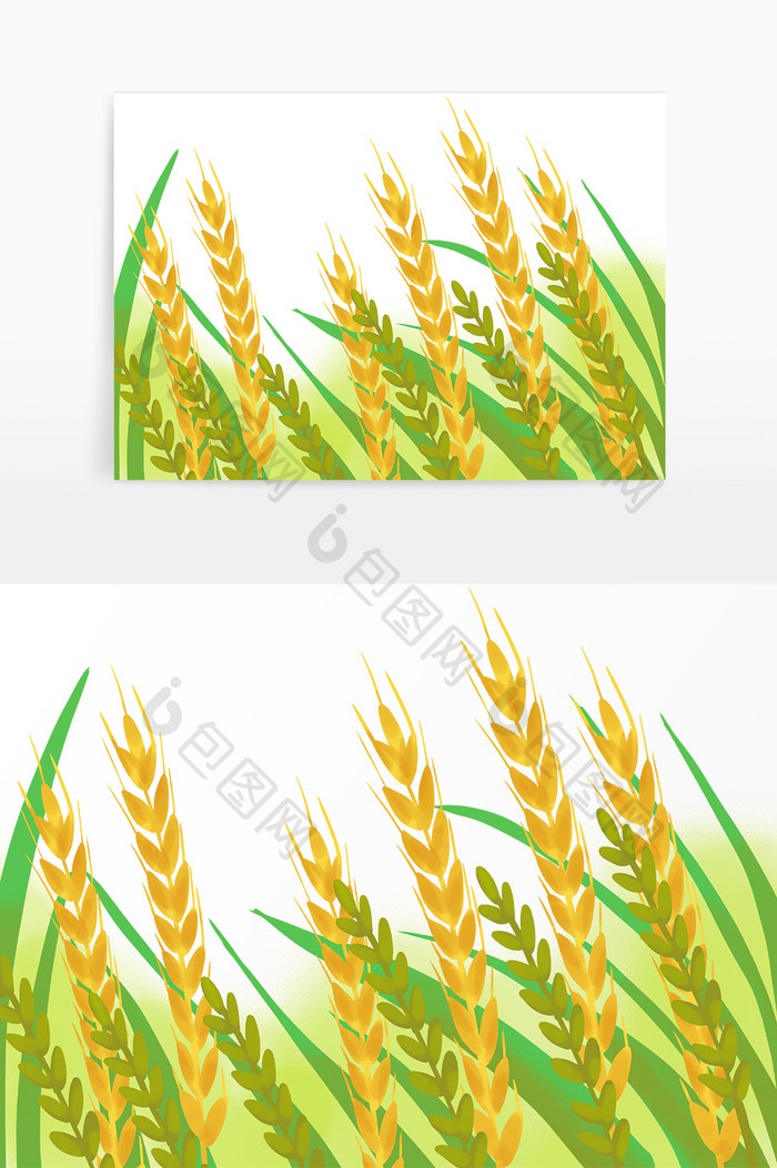 夏季芒种丰收小麦麦子