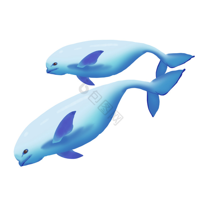 海洋日保护海洋江豚图片