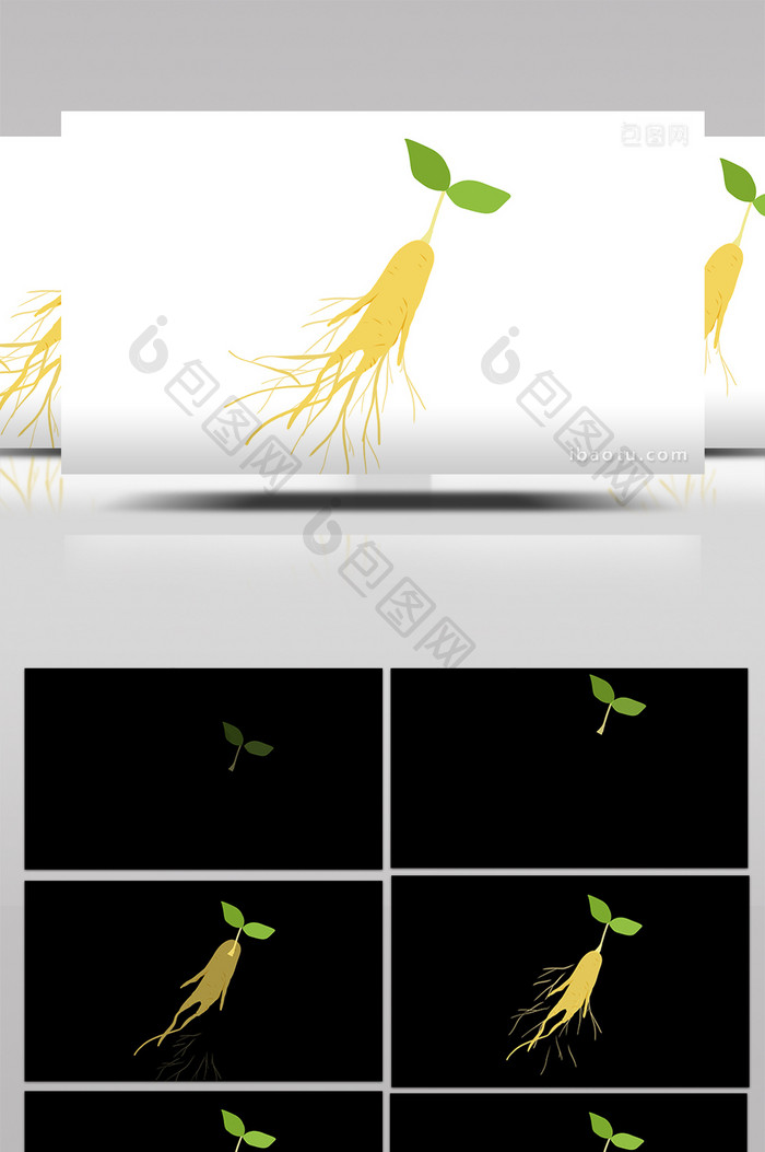 简约扁平画风食物类药用品人参mg动画