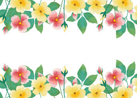 花朵花卉边框图片