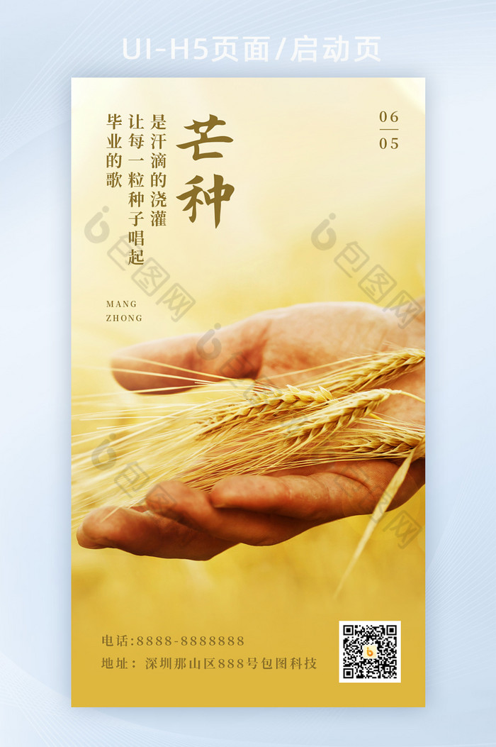 黄色小麦芒种海报设计图片