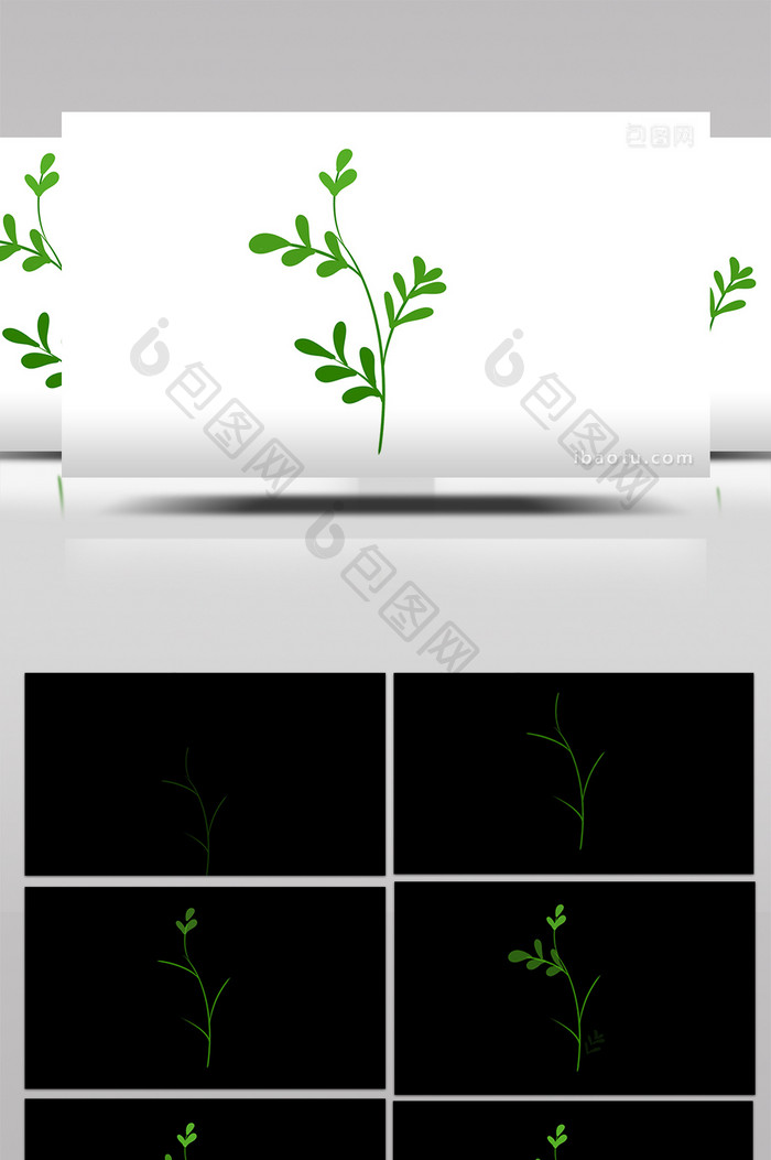 简约扁平画风自然植物类草mg动画