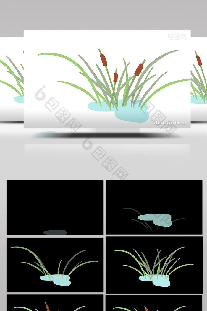 简约扁平画风自然植物类菖蒲mg动画