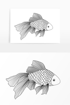 线描素描水生物小鱼