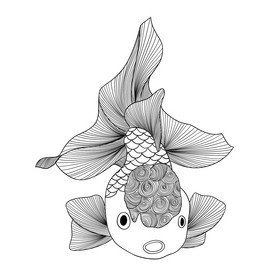 黑白素描蔬菜水果图片线描素描书包背包图片线描素描动物金鱼图片线描