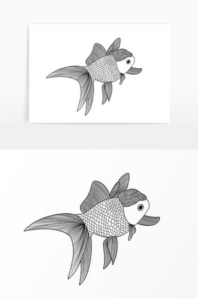 线描素描动物金鱼