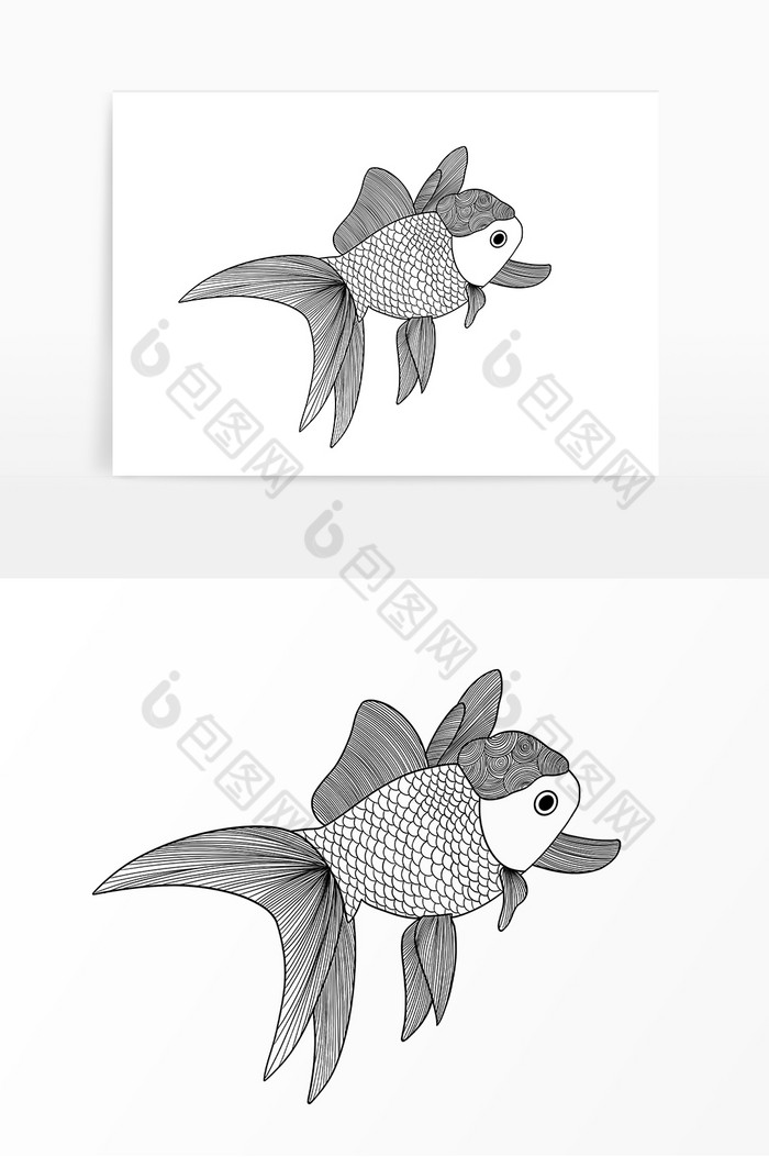 线描素描动物金鱼图片图片