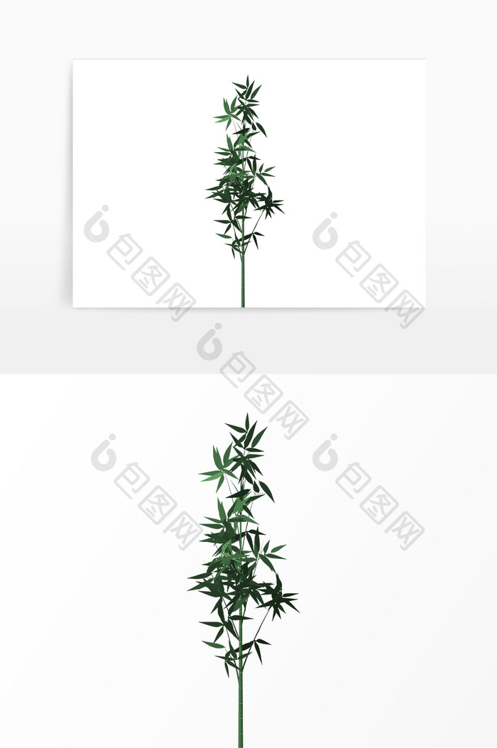 绿色植物小树树叶