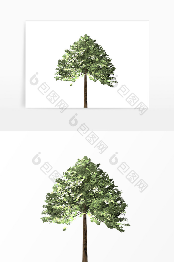 植物小树树木图片图片