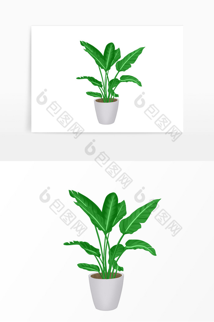 室内盆景盆栽花花朵图片图片