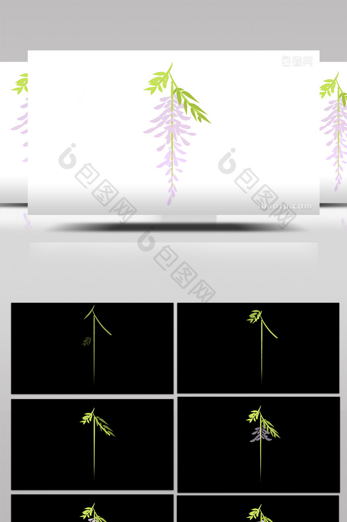 简约扁平画风植物类紫藤花mg动画