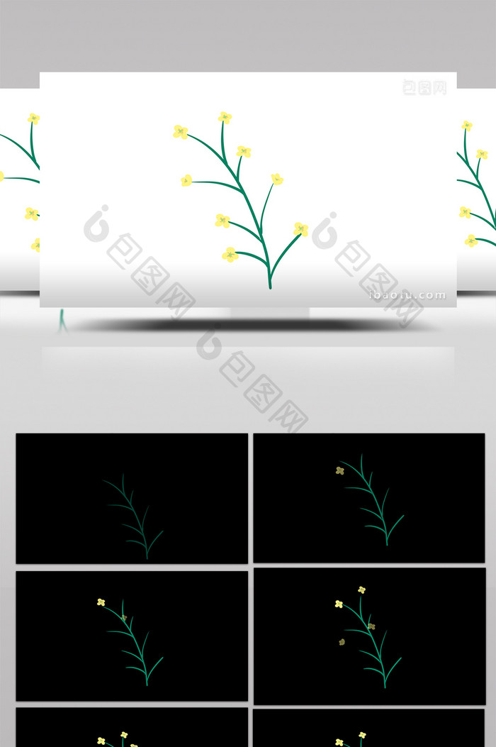 简约扁平画风自然植物类花mg动画