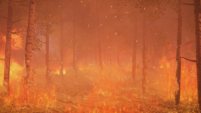 4K森林火灾高清背景视频