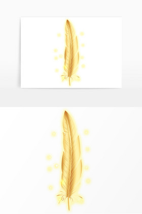 金色羽毛装饰图