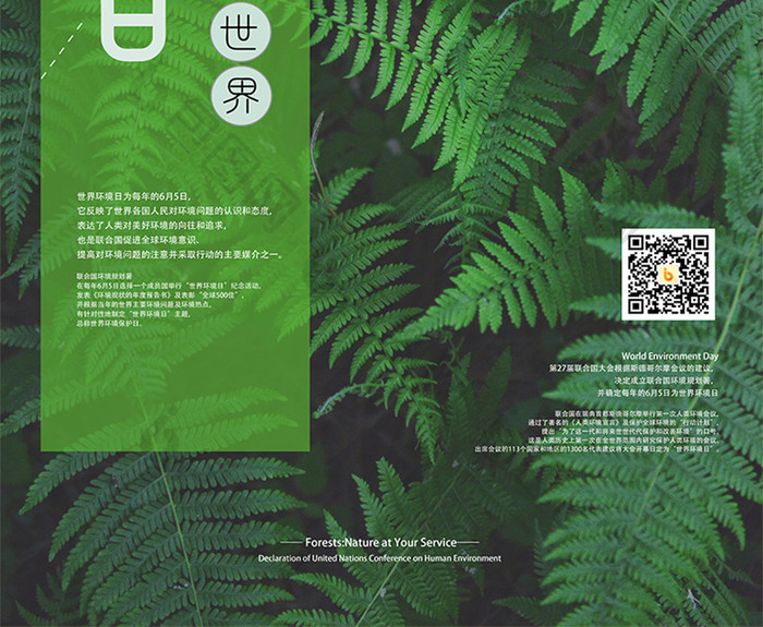 605简约绿色国际环境日公益海报