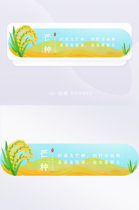 简约芒种二十四节气胶囊banner