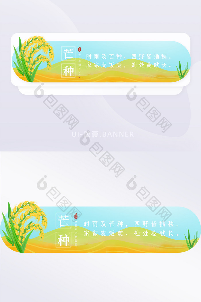 简约芒种二十四节气胶囊banner