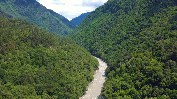 4K航拍中国原始森林自然生态系统