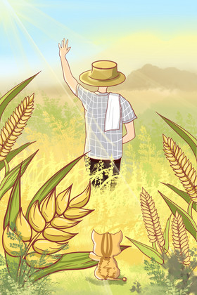 杂交水稻纪念爷爷芒种稻田麦田插画图片