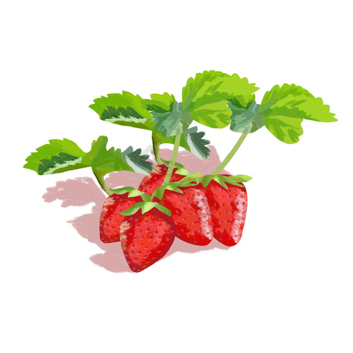 新鲜有机美味水果插画草莓图片