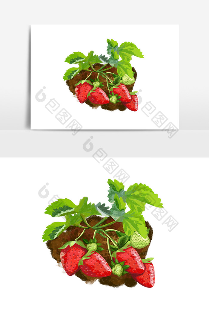 手绘新鲜有机水果插画草莓生鲜