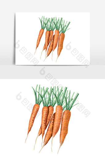 手绘夏季新鲜蔬菜黄色胡萝卜插画图片