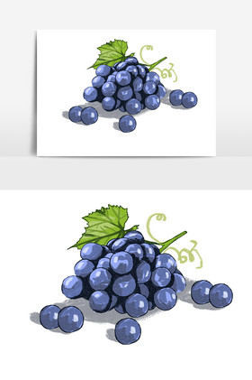 新鲜水果葡萄插画生鲜