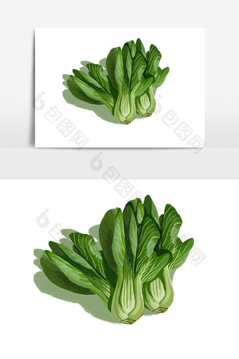 手绘新鲜蔬菜绿色食品青菜白菜插画生鲜图片