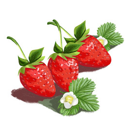 手绘美味有机水果插画草莓生鲜