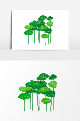 夏日荷叶平面图片