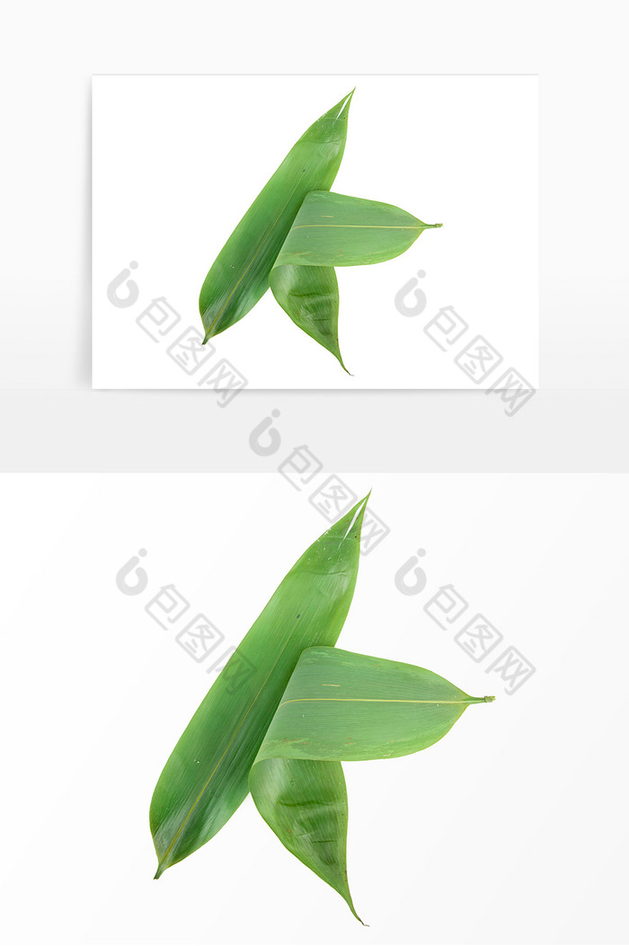 端午节包粽子绿粽叶图片图片