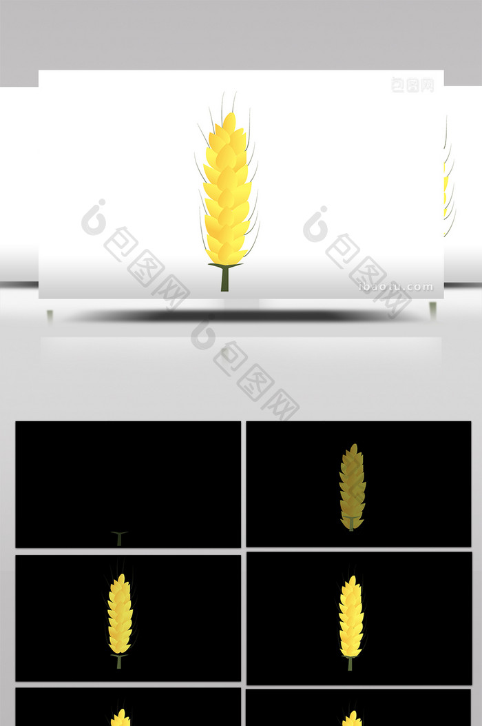 简约扁平画风自然植物类大麦mg动画